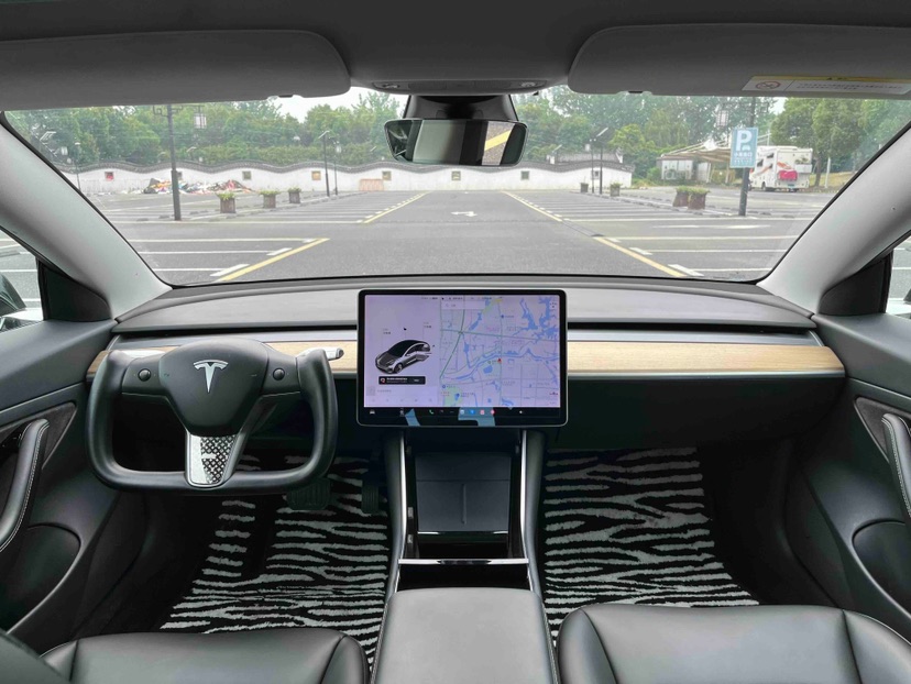 Tesla Model 3 2020 car image #7