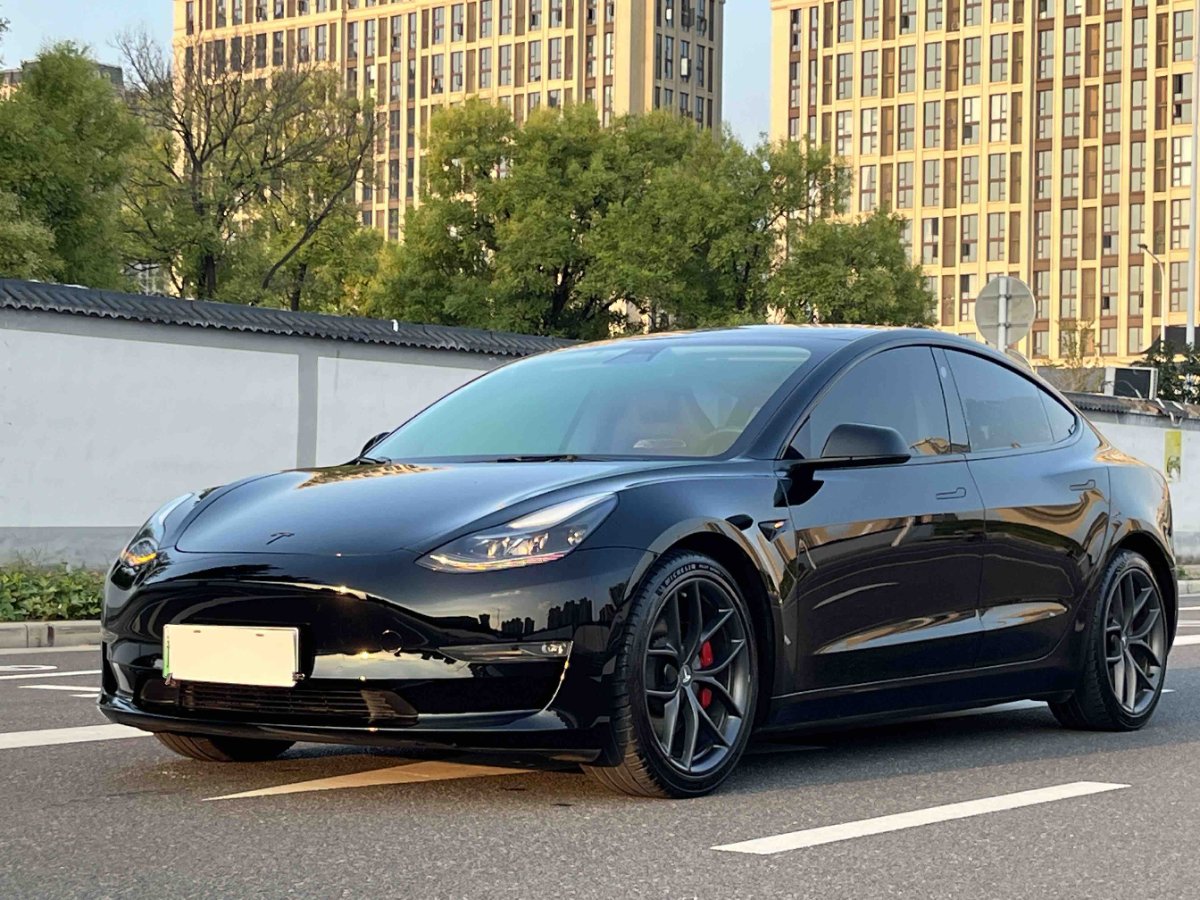 Tesla Model 3 2021 car image 