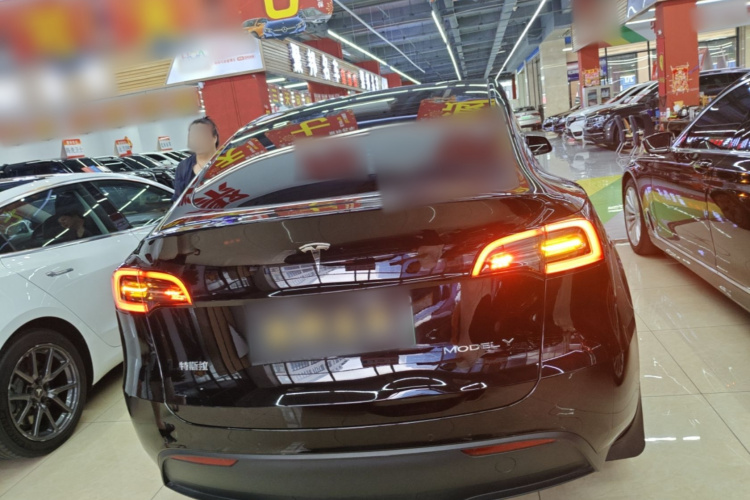 Tesla Model Y 2023 car image #6