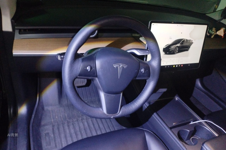 Tesla Model 3 2022 imagem de carro #12