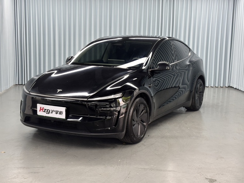 Tesla Model Y 2025 Tesla Model Y 2025 car image
