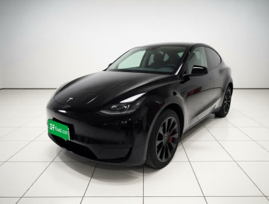 Tesla Model Y 2022 car image 