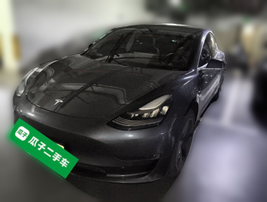 Tesla Model 3 2020 Tesla Model 3 2020 car image