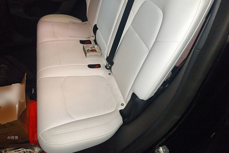 Tesla Model Y 2021 car image #19