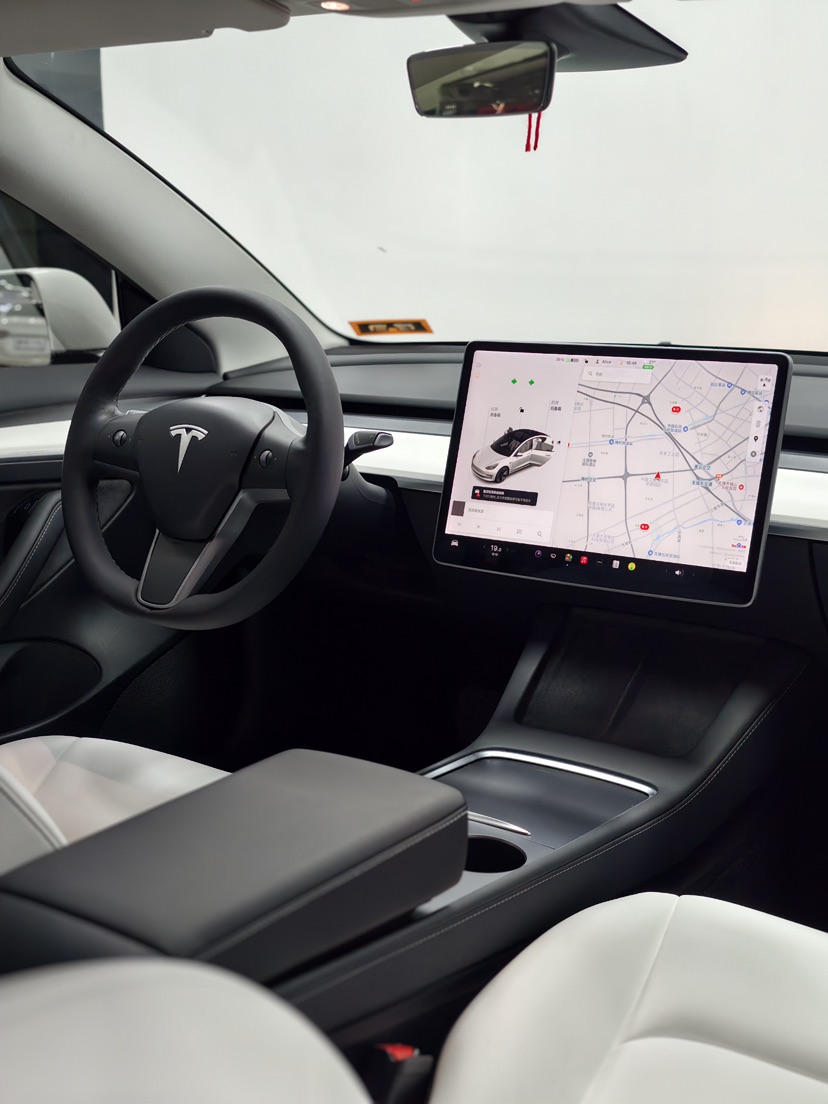Tesla Model 3 2021 car image #8