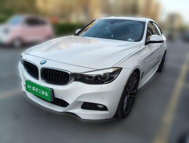 BMW 3 Series GT 2019 汽车图片 