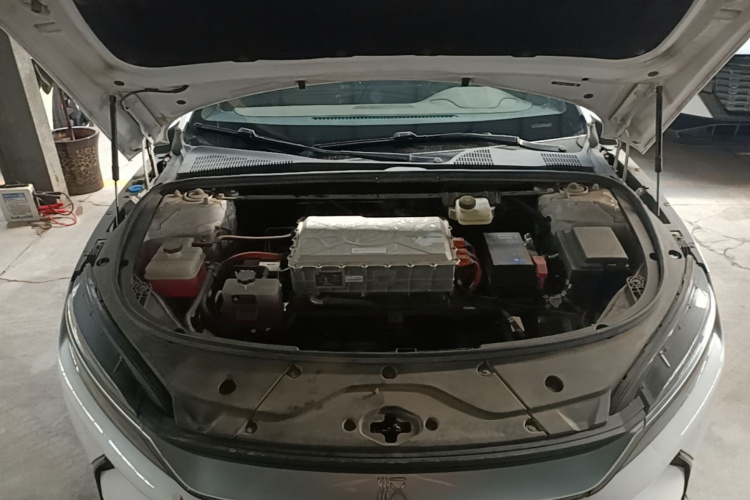 BYD Han 2021 #20 BYD Han 2021 immagine di auto #20