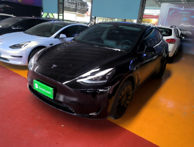 Tesla Model Y 2023 Tesla Model Y 2023 car image