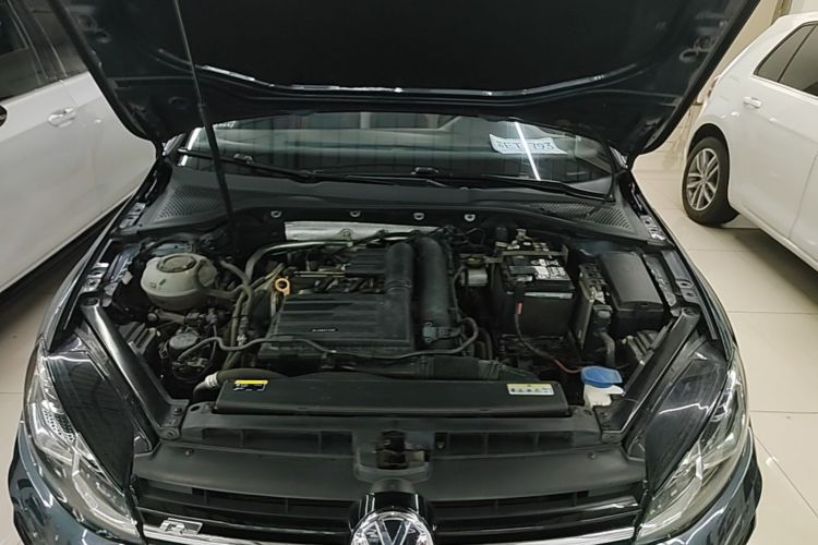 Volkswagen Golf 2020 car image #20