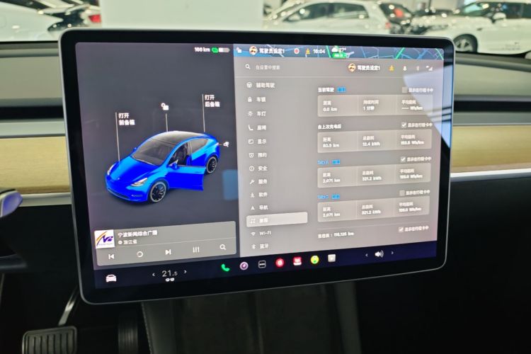 Tesla Model Y 2021 car image #13