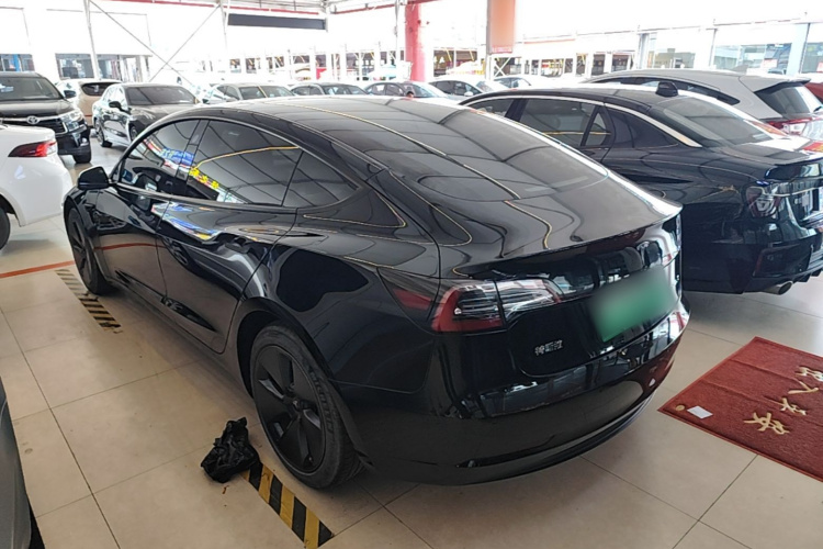 Tesla Model 3 2021 #5 Tesla Model 3 2021 car image #5