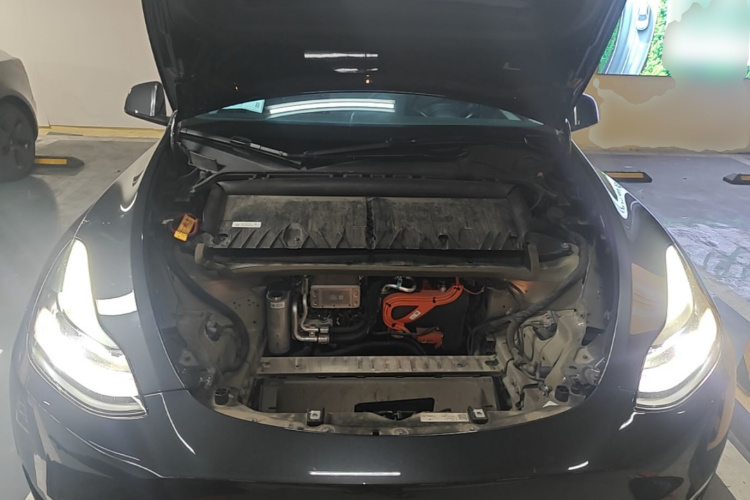 Tesla Model Y 2024 #20 Tesla Model Y 2024 car image #20