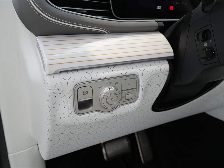 Mercedes-Benz Maybach GLS car image #16