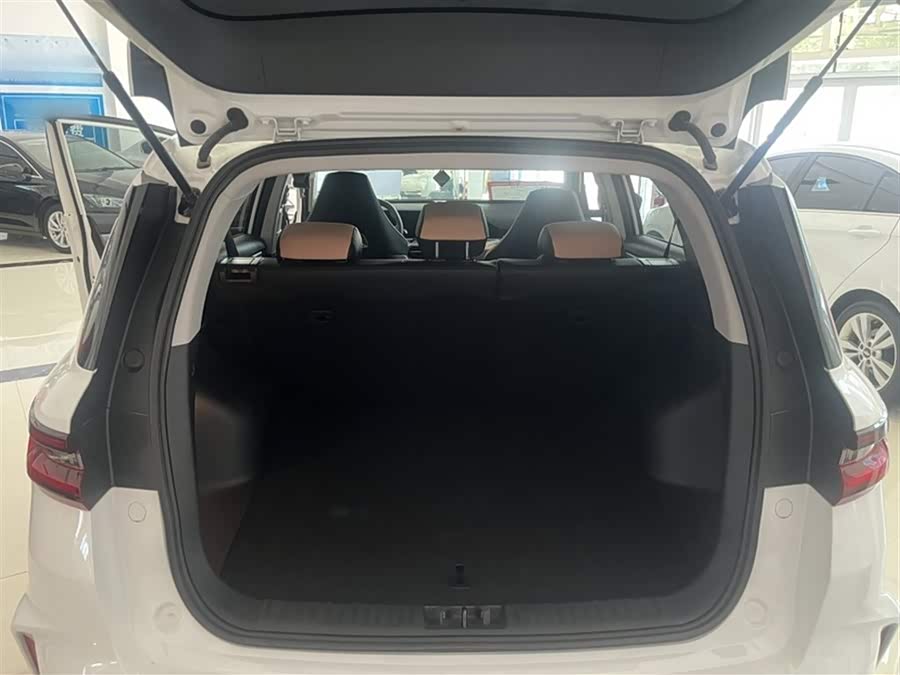 GEELY OkavangoPRO 2023 car image #16