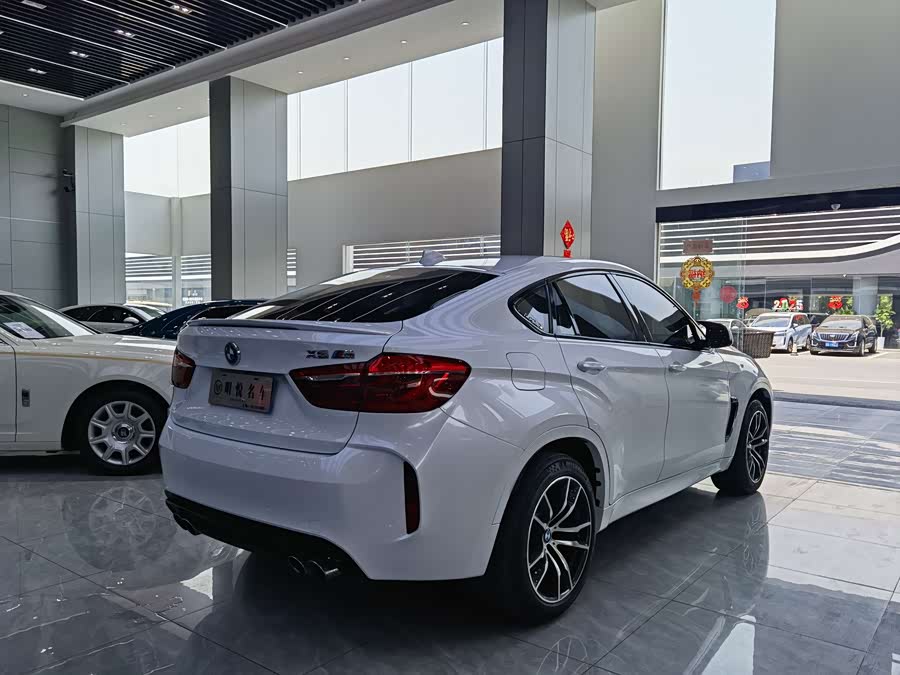 BMW X6 M 2019 car image #16
