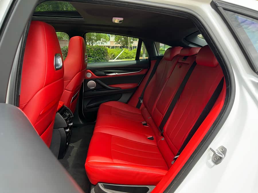 BMW X6 M 2017 car image #16