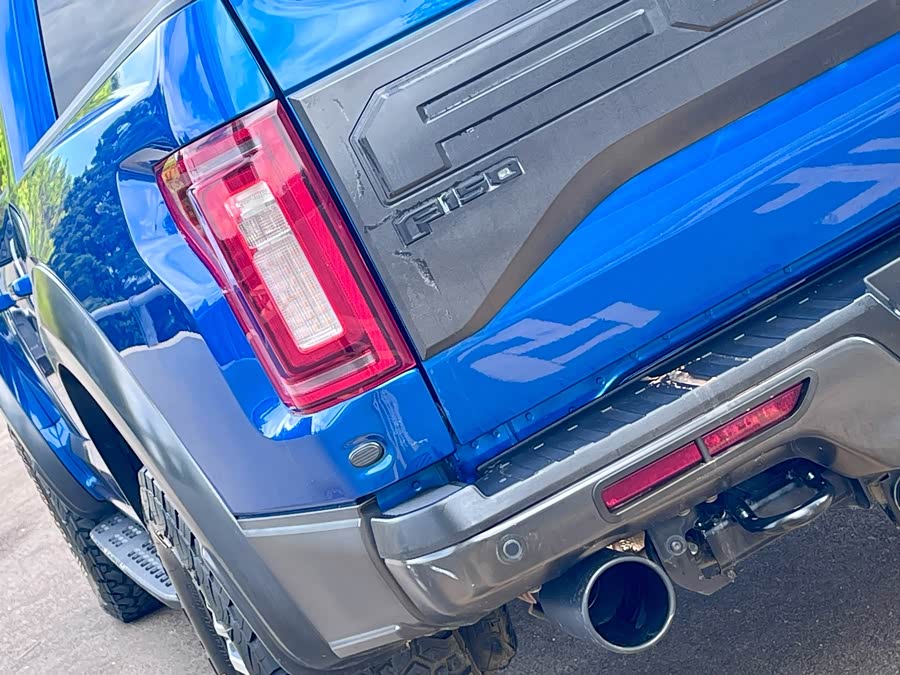 Ford F-150 Raptor 2018 car image #16