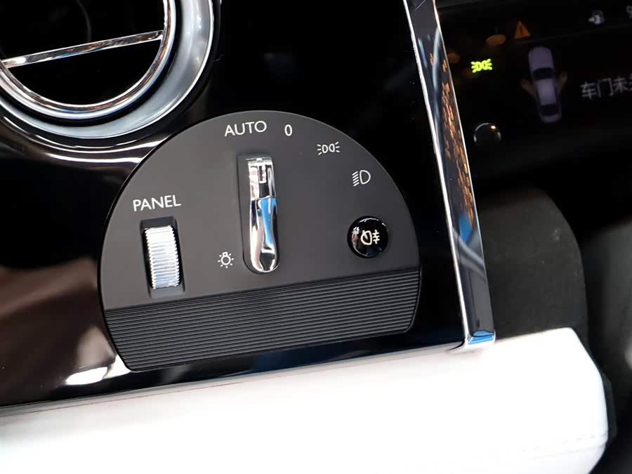 Denza Wraith 2015 #16 Denza Wraith 2015 car image #16