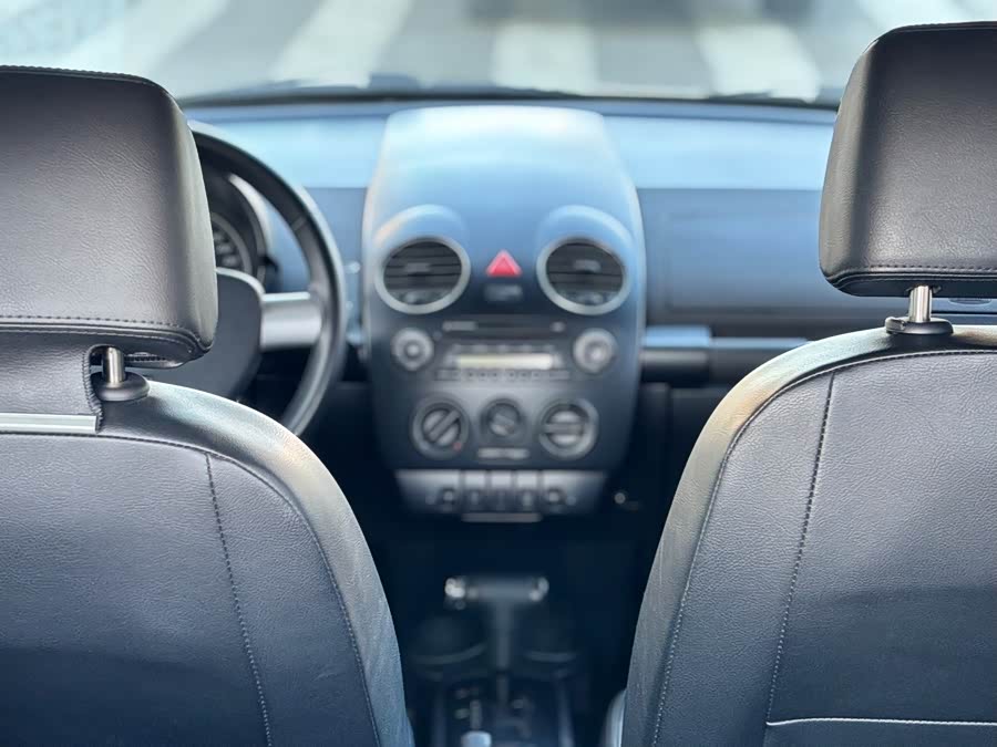 Volkswagen Beetle 2009 immagine di auto #16