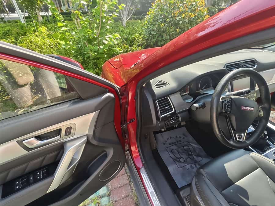 Haval H2 2014 immagine di auto #16