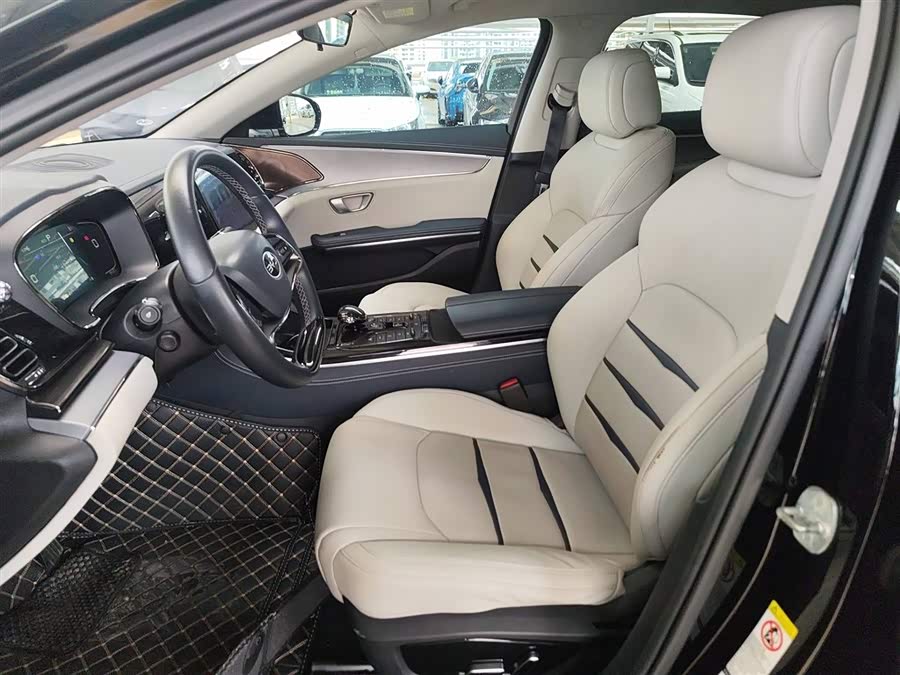 BYD e9 2021 car image #16