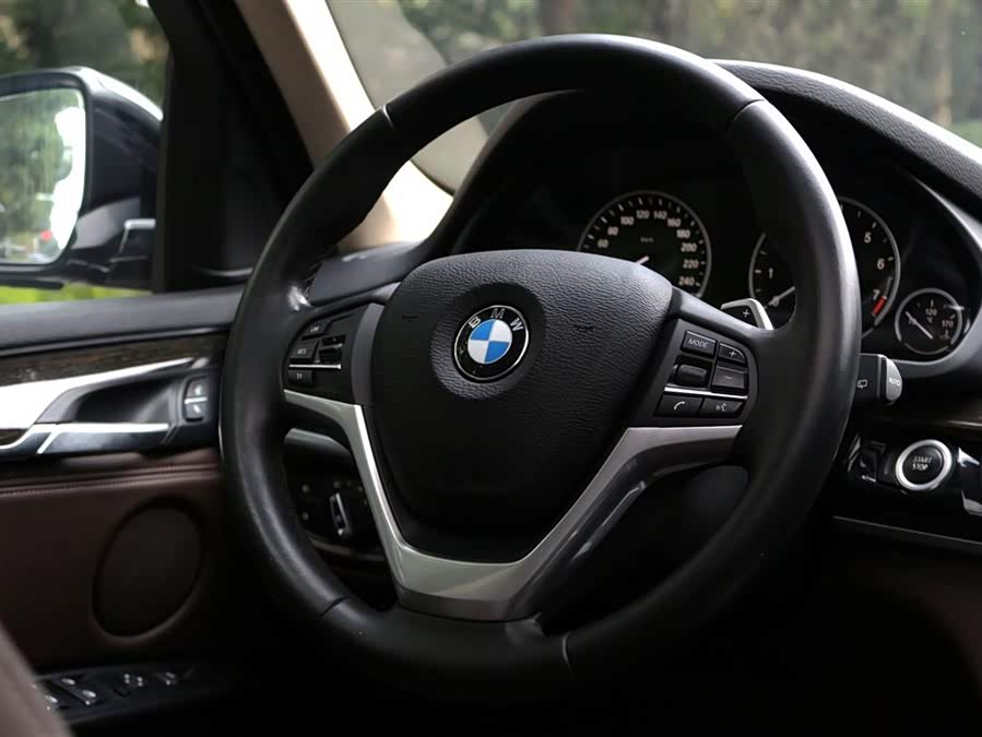 BMW X5 New Energy (Imported) 2018 car image #16