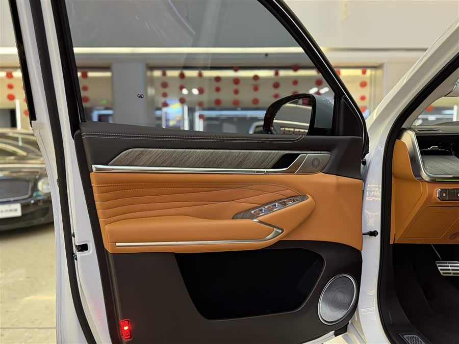 Tank 500 New Energy 2024 immagine di auto #16