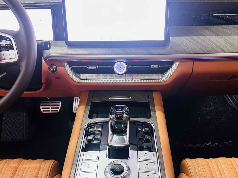 Tank 500 New Energy 2024 car image #16