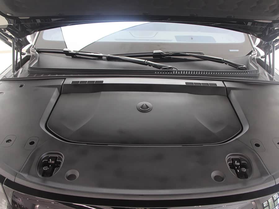 Denza N9 2025 immagine di auto #16