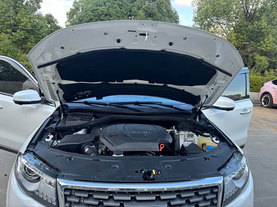 Haval H8 2017 car image #16