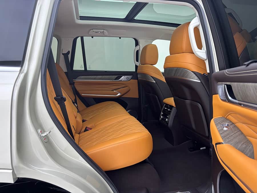 Tank 500 New Energy 2024 immagine di auto #16