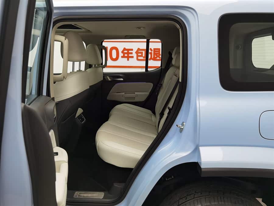 Tank 300 New Energy 2024 car image #16