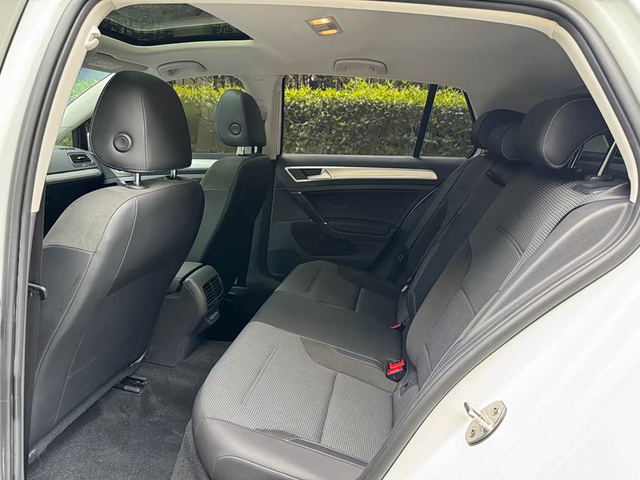 Volkswagen Golf Pure Electric 2021 car image #16