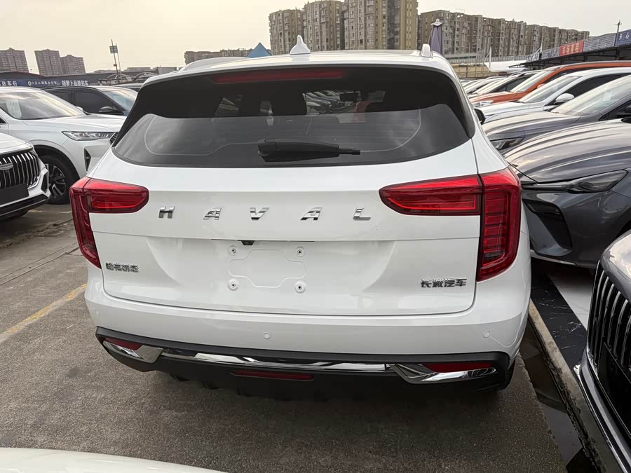 Haval Jolion 2020 car image #16
