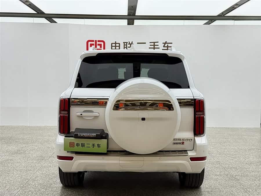 Tank 500 New Energy 2024 immagine di auto #16