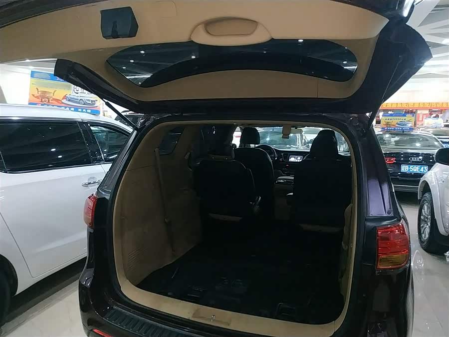 Kia Carnival (Imported) 2016 car image #16