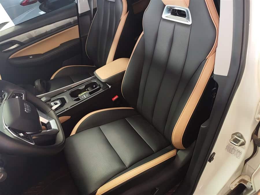 GEELY OkavangoPRO 2024 car image #16