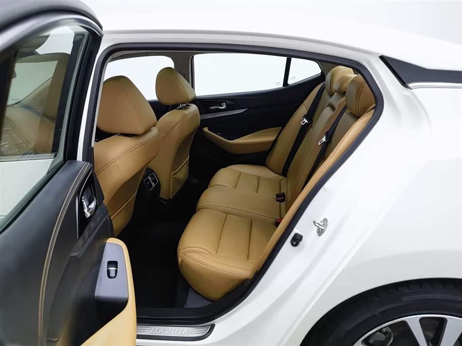 Nissan Maxima 2018 car image #16