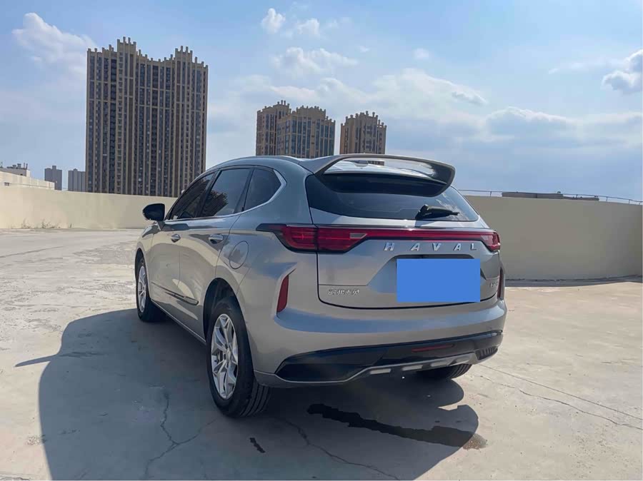 Haval Rabbit 2024 car image #16
