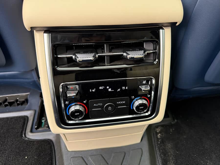 Tank 500 New Energy 2025 immagine di auto #16