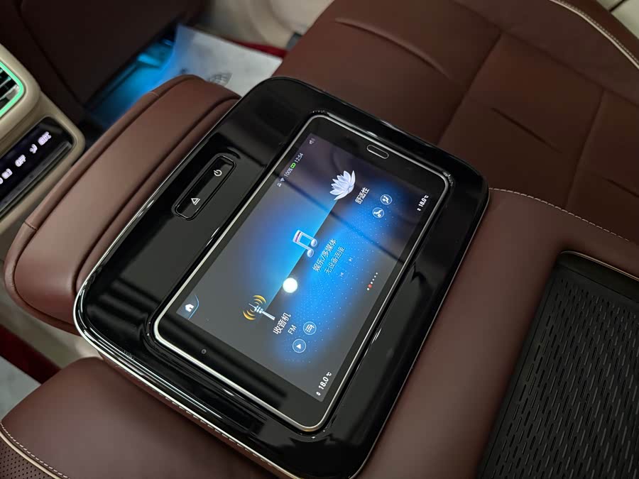 Mercedes-Benz Maybach GLS 2021 imagen de coche #16