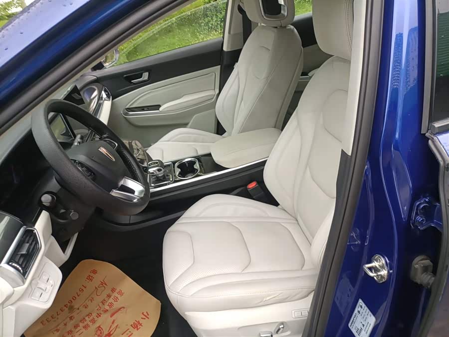 HongQi E-HS3 2019 car image #16