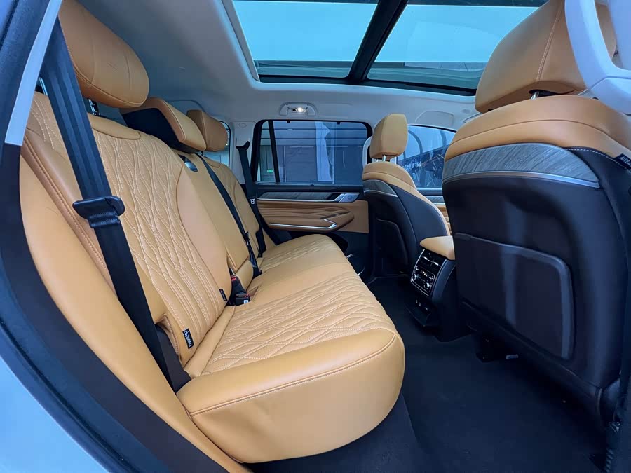 Tank 500 New Energy 2023 immagine di auto #16