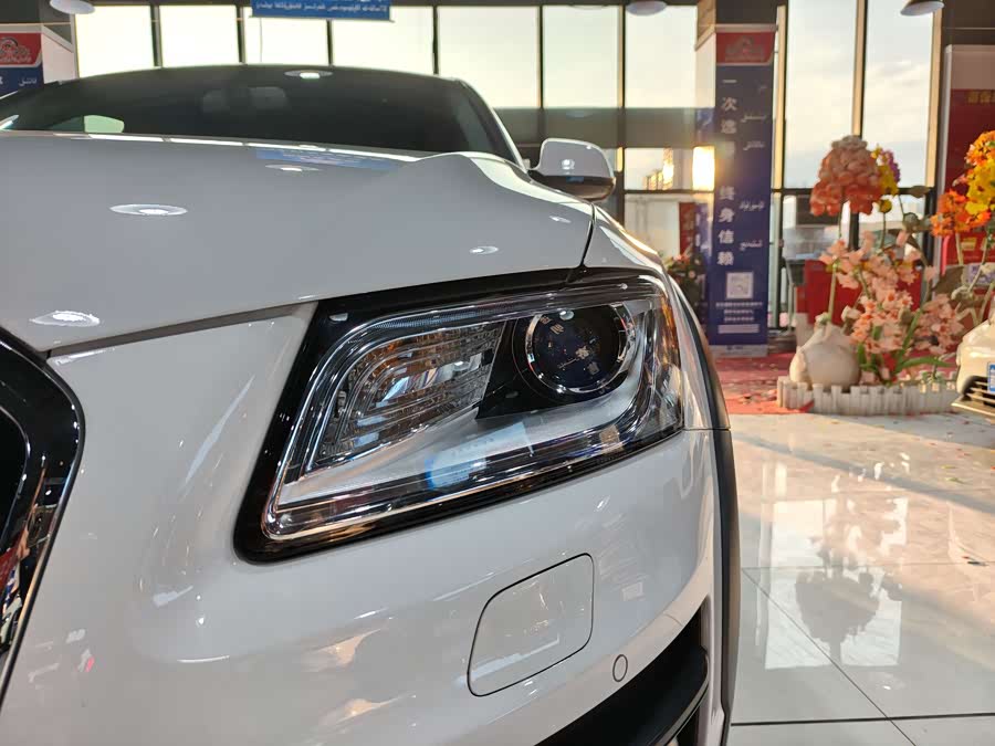 Audi Q5 2018 car image #16