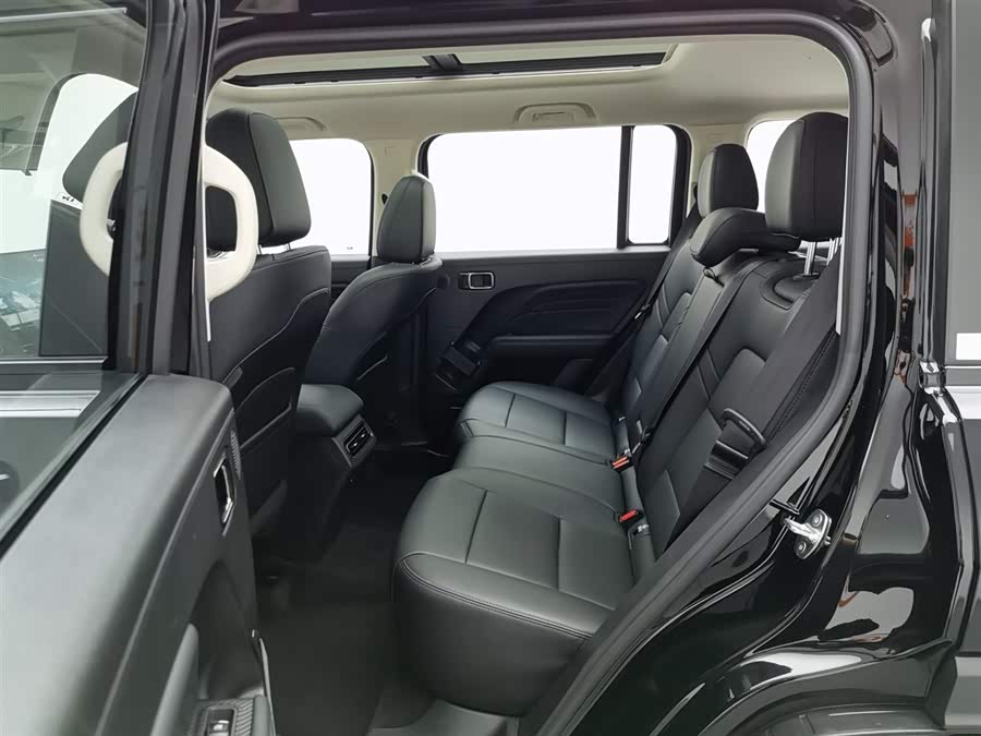 Haval Raptor New Energy 2024 #16 Haval Raptor New Energy 2024 car image #16