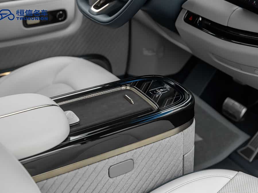 极氪 极氪MIX 2024 汽车图片 #16