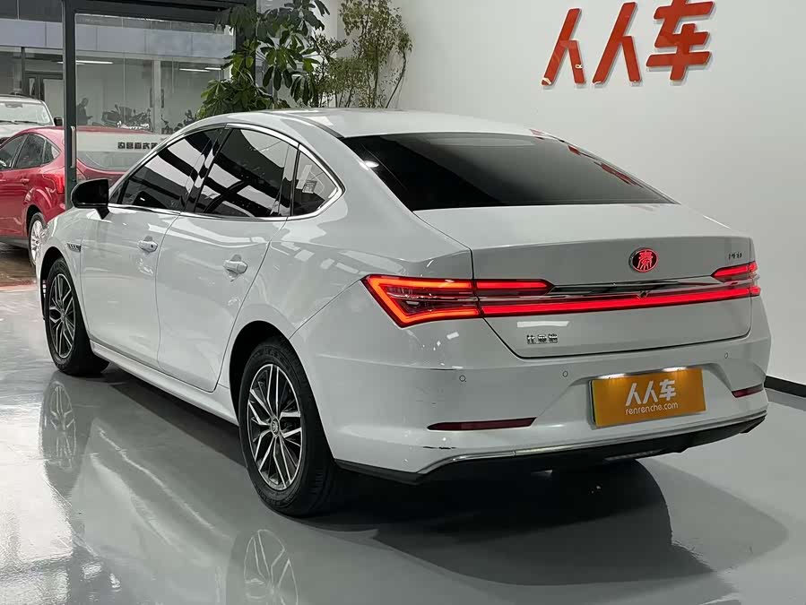 BYD Qin Pro New Energy 2019 car image #16