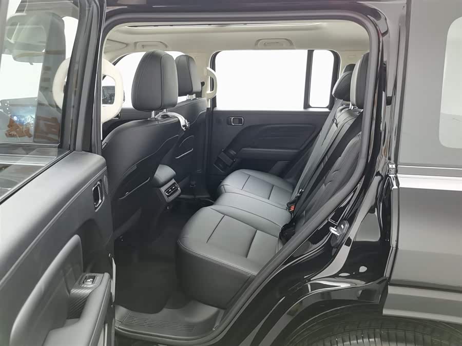 Haval Raptor New Energy 2025 car image #16