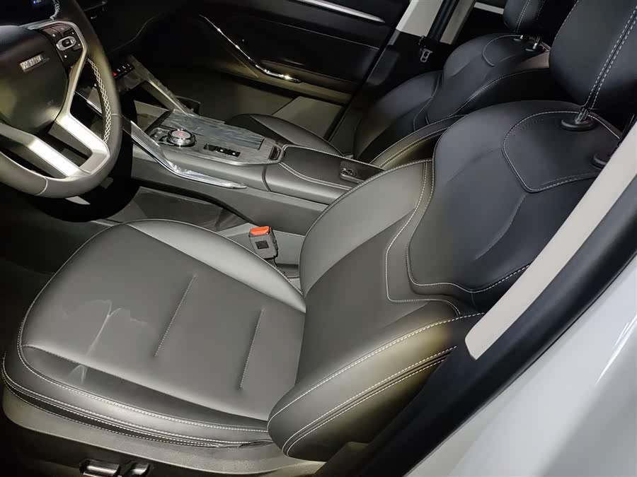 Haval H6 2025 immagine di auto #16