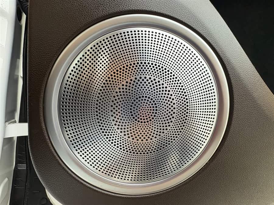 Tank 500 New Energy 2024 immagine di auto #16